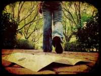 большой красный прыщ